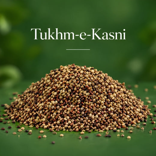 Tukhm-e-Kasni